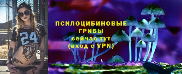 не бодяженный Михайловск