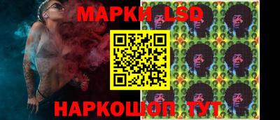 трава Гатчина