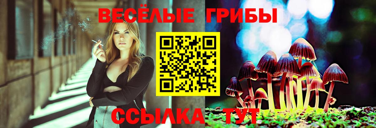 Псков  Псилоцибиновые грибы мицелий  Галлюциногенные грибы Psilocybe  Вход с VPN 
