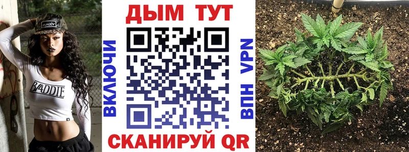 Марихуана план  Купить закладки  Псков 