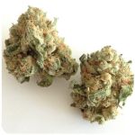 Шишки "White Widow"  (Белая вдова)  Гидропоника -  Бошка VHQ в Пскове