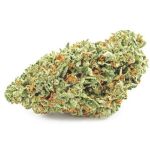 Шишки OG Kush  (Гидропоника, бошки) VHQ в Пскове